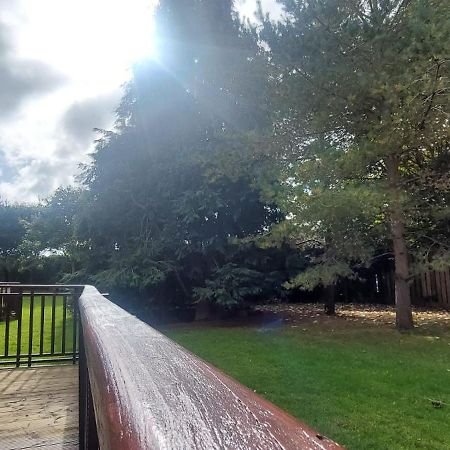 Elegantly Refurbed 2Bd In Shankill - 3Km From Bray 都柏林 外观 照片
